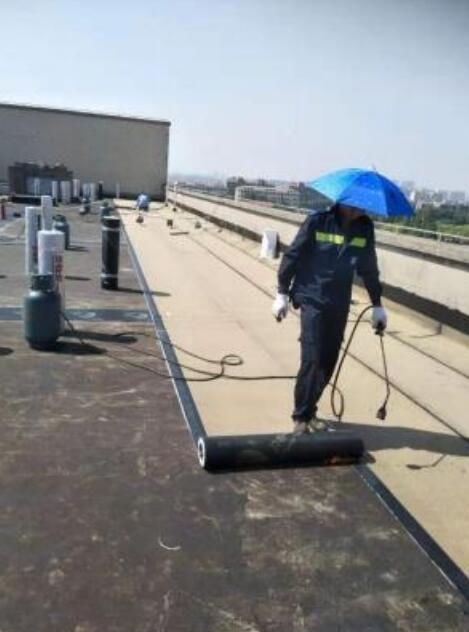 沪太路尚大国际 E 区利康集团屋面东方雨虹 SBS 带石英砂卷材防水