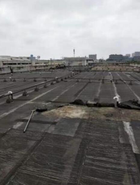 金娄路诚达物流屋面防水