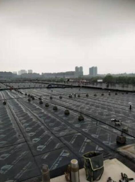 金娄路诚达物流屋面防水