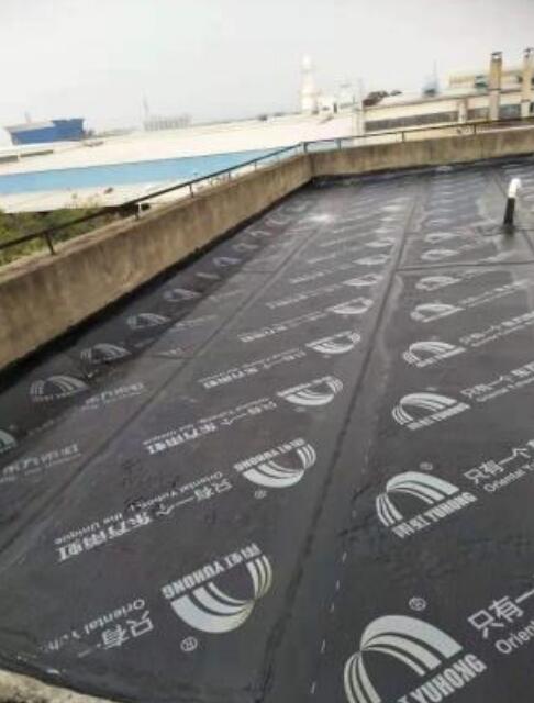 金娄路诚达物流屋面防水