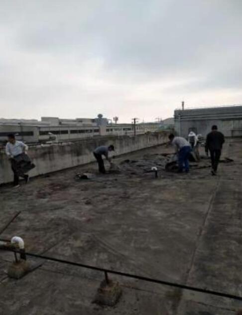 金娄路诚达物流屋面防水