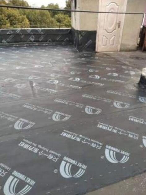 上海市凌云幼儿园屋面防水和注浆