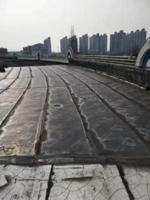 上海市凌云幼儿园屋面防水和注浆