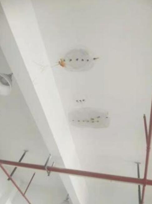 上海市凌云幼儿园屋面防水和注浆